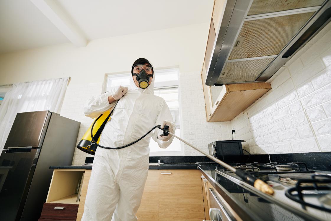 Professional pest control technician